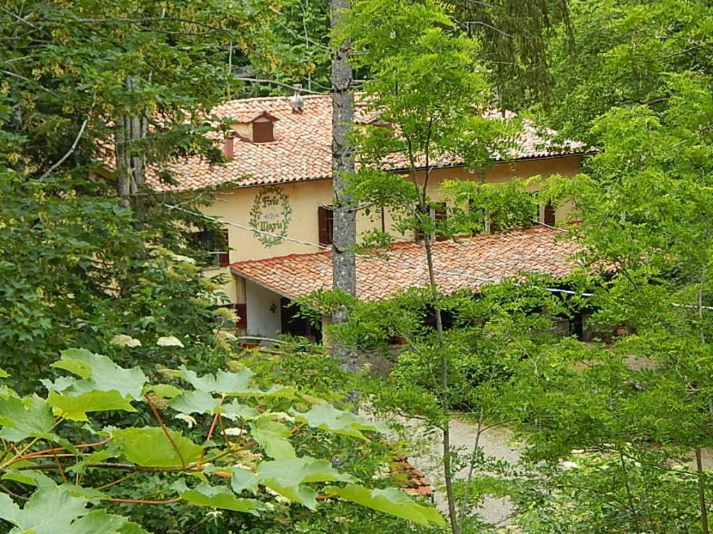 Agriturismo Fonte Magria Abbadia San Salvator Eksteriør billede